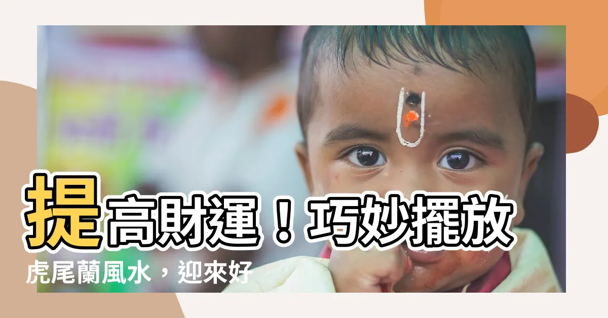 【擺放虎尾蘭風水】提高財運！巧妙擺放虎尾蘭風水，迎來好運
