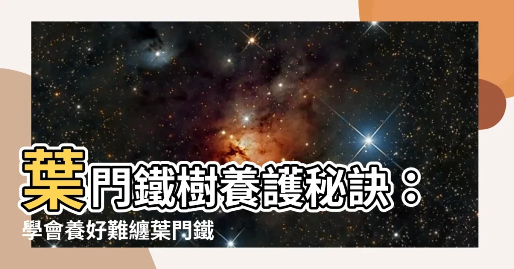 【葉門鐵樹照顧】葉門鐵樹養護秘訣：學會養好難纏葉門鐵樹的秘訣！