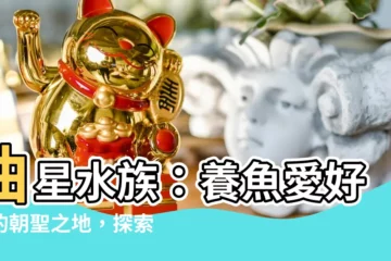 【曲星水族】曲星水族：養魚愛好者的朝聖之地，探索水族世界的寶藏！