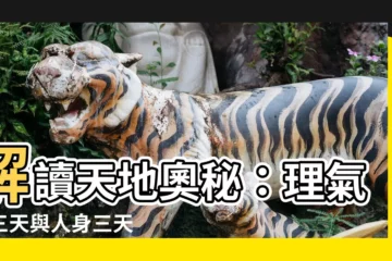 【理天氣天象天】解讀天地奧秘：理氣象三天與人身三天