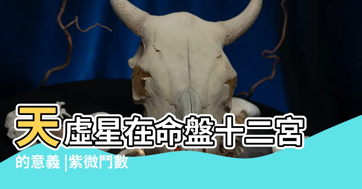 【天虛星】天虛星在命盤十二宮的意義 |紫微鬥數 |紫微鬥數中的虛耗之星 |