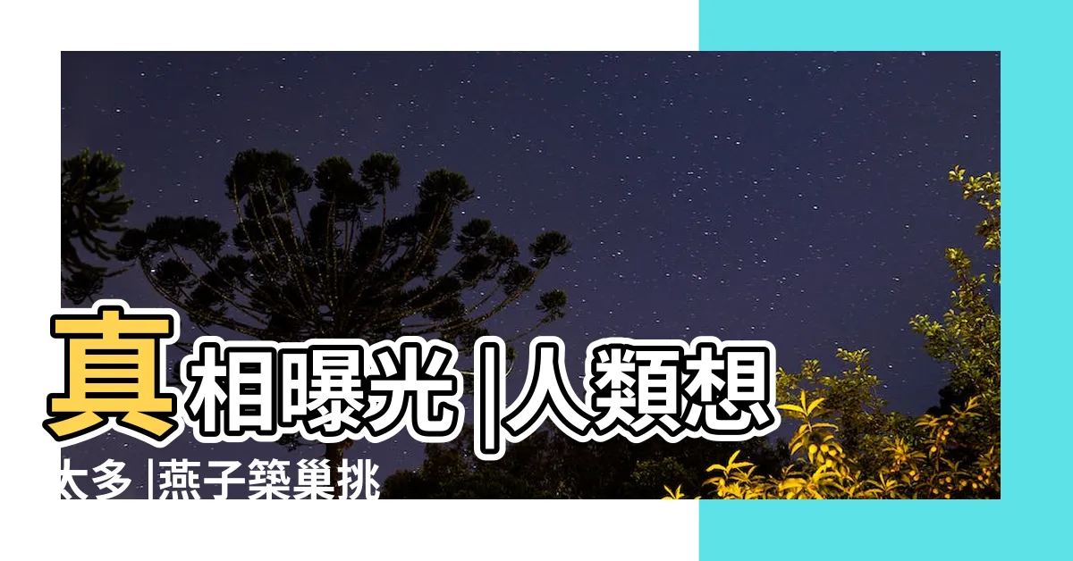 【燕子築巢位置】真相曝光 |人類想太多 |燕子築巢挑風水 |