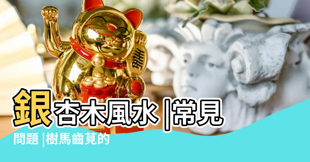【樹馬齒莧風水】銀杏木風水 |常見問題 |樹馬齒莧的六大常見問題 |