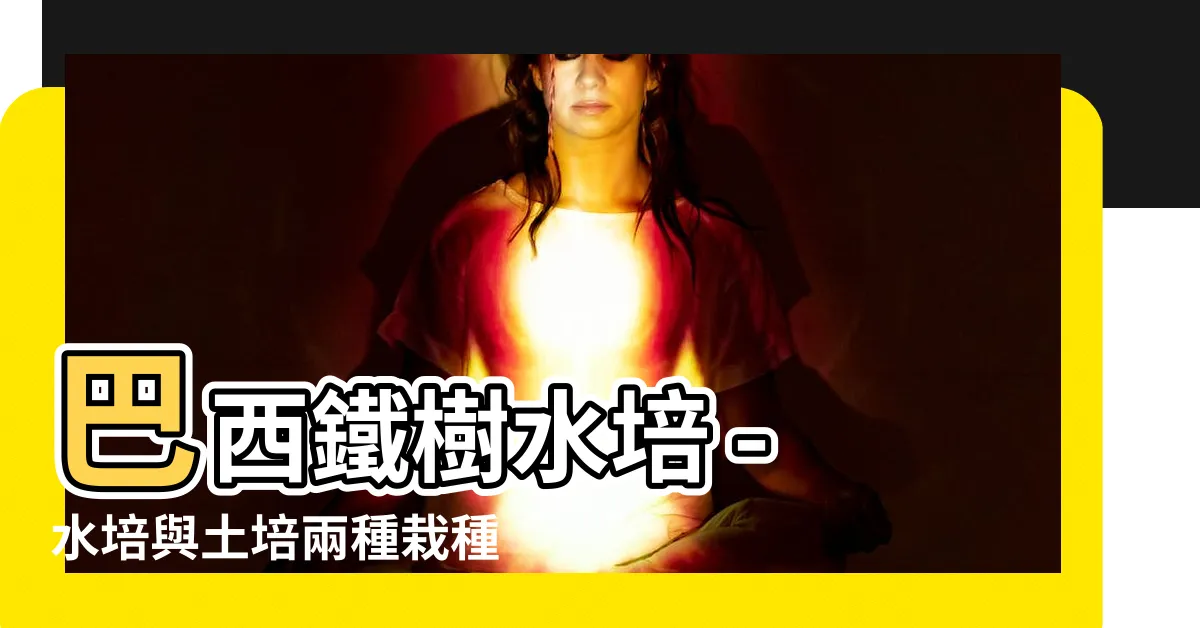 【巴西鐵樹水培】巴西鐵樹水培 - 水培與土培兩種栽種方式的技巧大公開！