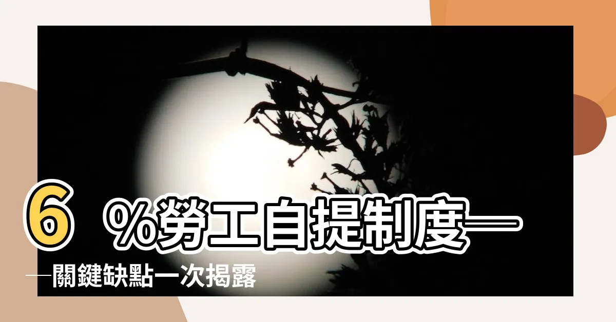 【自提6缺點】6%勞工自提制度──關鍵缺點一次揭露，快來瞭解！