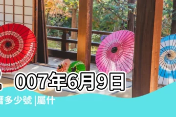 【2007年6月9號農曆多少】2007年6月9日農曆多少號 |屬什麼生肖 |2007年6月9日出生時間看命運 |