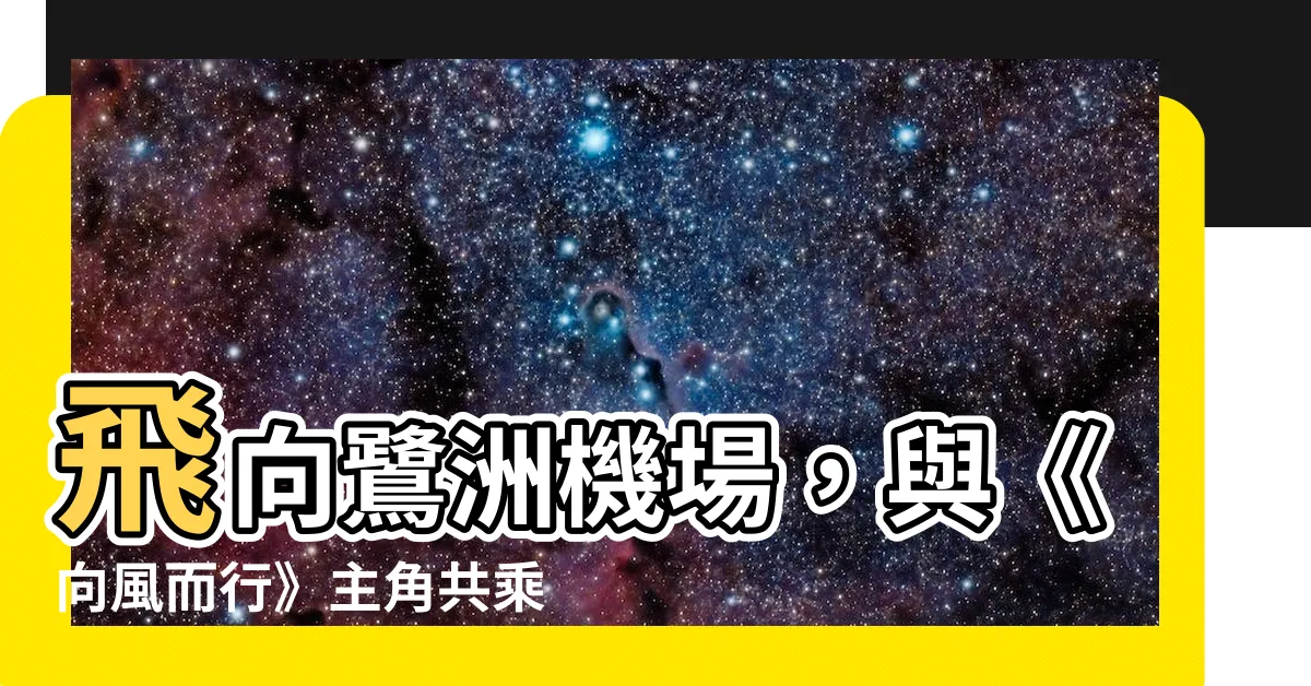 【鷺洲機場】飛向鷺洲機場，與《向風而行》主角共乘廈門新鷺洲航空！