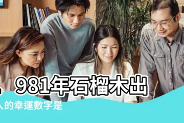 【屬雞石榴木的幸運數字】1981年石榴木出生人的幸運數字是 |為你的人生帶來運勢加成 |石榴木幸運數字 |