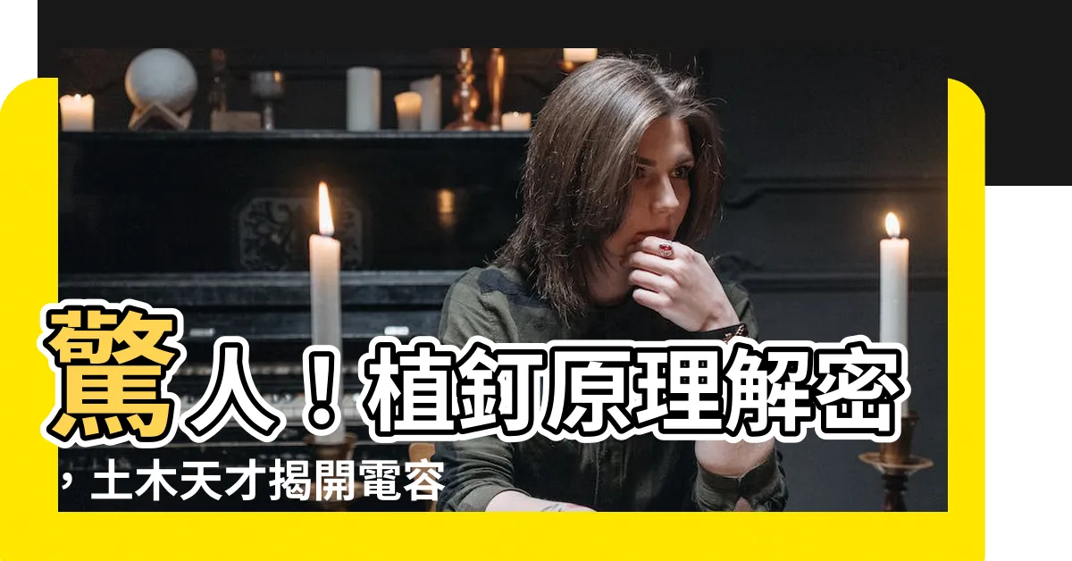 【植釘原理】驚人！植釘原理解密，土木天才揭開電容式植釘機秘密！