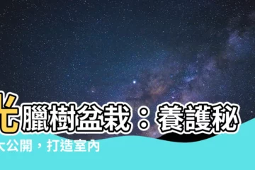 【光臘樹盆栽】光臘樹盆栽：養護秘訣大公開，打造室內綠意新寵