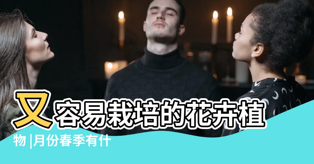 【好看的植物】又容易栽培的花卉植物 |月份春季有什麼適合新手 |同場加映帶來好風水植物的5種特色 |