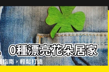 【漂亮花朵】10種漂亮花朵居家照護指南，輕鬆打造花海美景