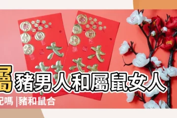 【屬豬人與屬鼠人怎麼樣】屬豬男人和屬鼠女人相配嗎 |豬和鼠合不合生肖鼠和豬相配嗎 |屬鼠和屬豬的生肖配對 |