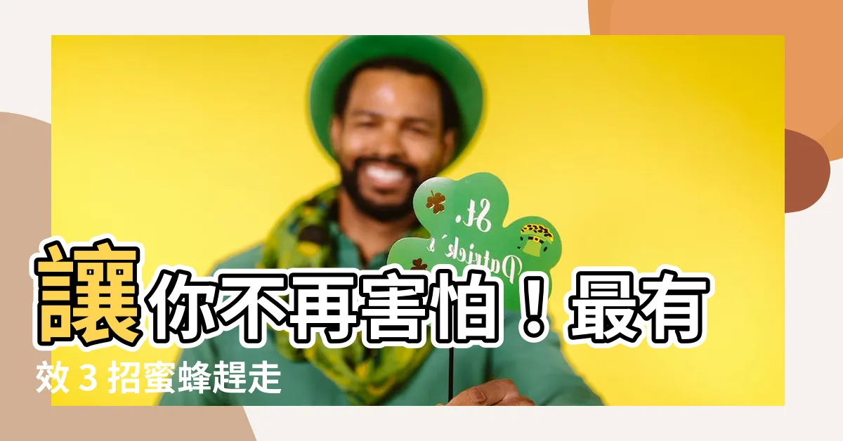 【蜜蜂怎麼趕走】讓你不再害怕！最有效 3 招蜜蜂趕走法一次解決你的困擾