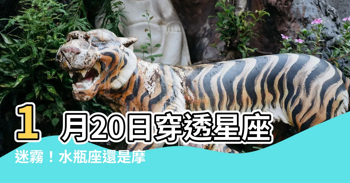 【1月20是什麼星座】1月20日穿透星座迷霧！水瓶座還是摩羯座？最準答案一次解密