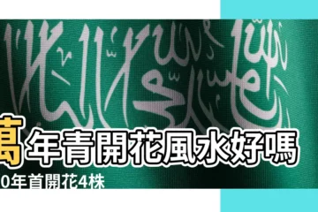 【萬年青開花風水】萬年青開花風水好嗎？20年首開花4株各1朵代表什麼？