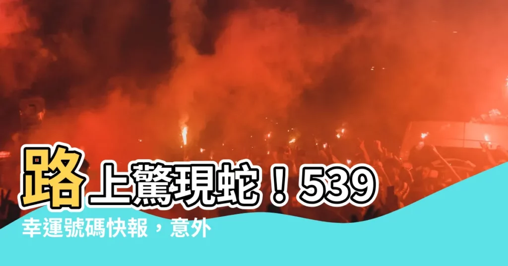 【路上看到蛇號碼】路上驚現蛇！539幸運號碼快報，意外之財滾滾來！