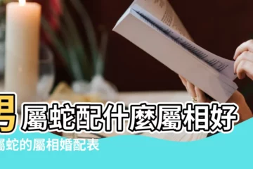 【男的屬蛇配婚姻屬什麼的好】男屬蛇配什麼屬相好男屬蛇的屬相婚配表 |屬蛇的最佳婚配對象 |屬蛇的屬相婚配表大全 |