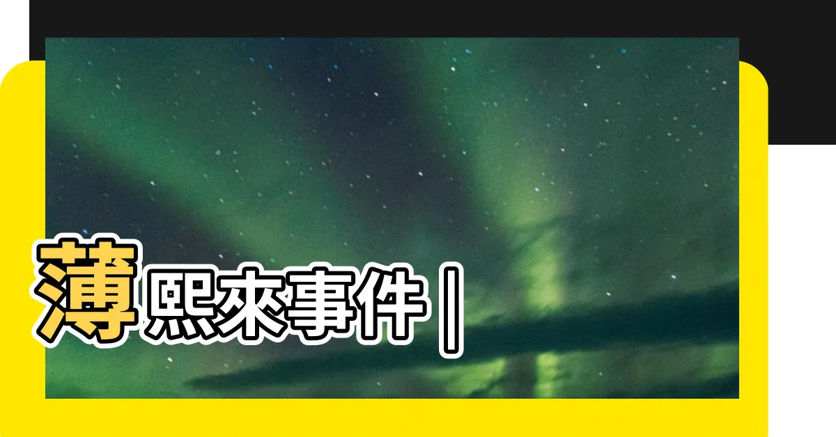 【薄熙】薄熙來事件 |