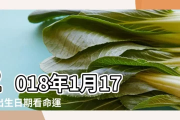 【陽曆2018年1月17號出生】2018年1月17日出生日期看命運 |2018年1月17日黃歷查詢 |2018年1月17日出生時間看命運 |