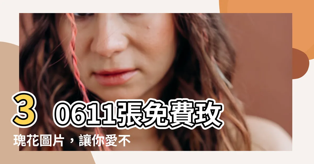 【玫瑰花圖片】30611張免費玫瑰花圖片，讓你愛不釋手