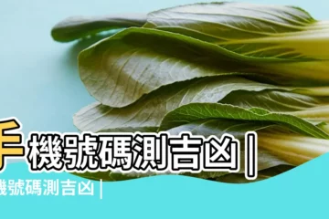 【電信號碼測吉凶】手機號碼測吉凶 |手機號碼測吉凶 |固定電話號碼測吉凶 |