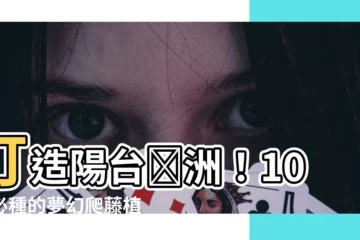 【陽台爬藤植物】打造陽台綠洲！10種必種的夢幻爬藤植物