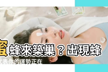 【蜜蜂建巢】蜜蜂來築巢？出現蜂巢代表你的運勢正在轉變！