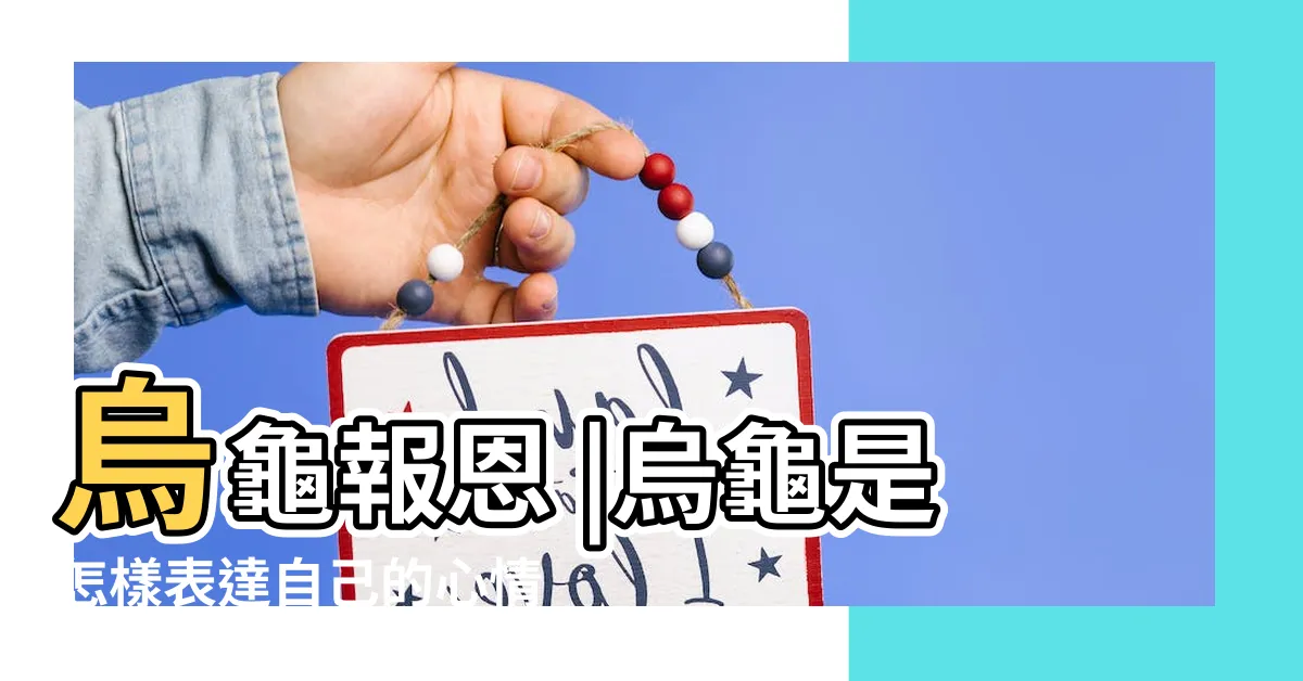 【烏龜心情】烏龜報恩 |烏龜是怎樣表達自己的心情的 |烏龜如何表達心情 |