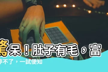 【肚子有毛面相】驚呆！肚子有毛，富貴停不了，一試便知！