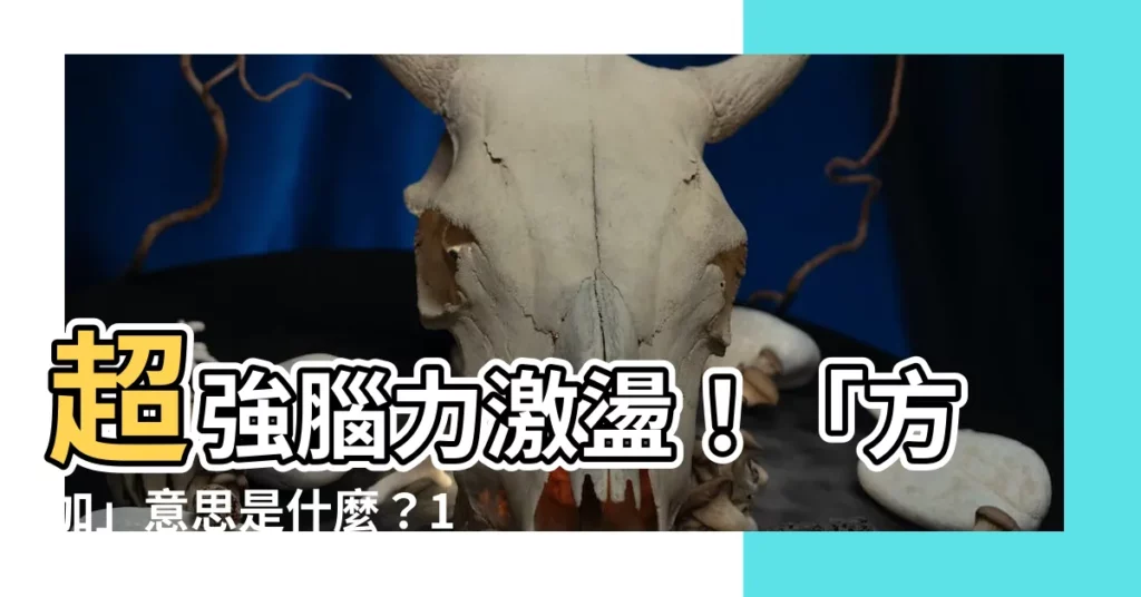【方加 意思】超強腦力激盪！「方加」意思是什麼？15句職場金句一次盤點