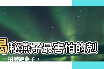 【燕子怕什麼】揭秘燕子最害怕的剋星，一招嚇跑燕子，絕不出錯！