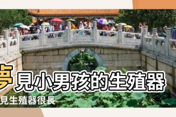 【夢見小男孩生殖器很長】夢見小男孩的生殖器 |夢見生殖器很長 |夢見小男孩的生殖器官是什麼意思預兆 |