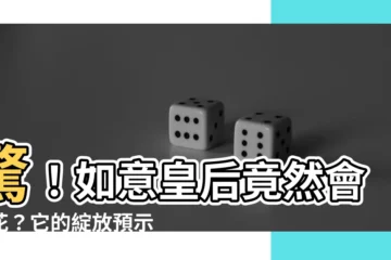 【如意皇后開花】驚！如意皇后竟然會開花？它的綻放預示著什麼吉兆！