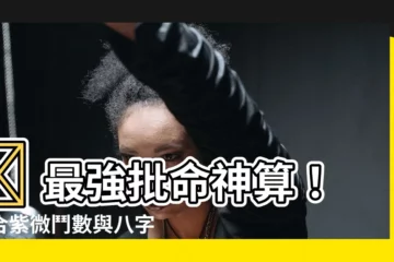 【批命師傅】🌟 最強批命神算！結合紫微鬥數與八字，預知一生運勢！