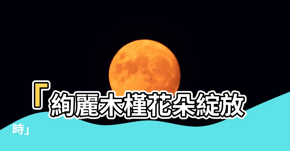 【木槿】「絢麗木槿花朵綻放時」