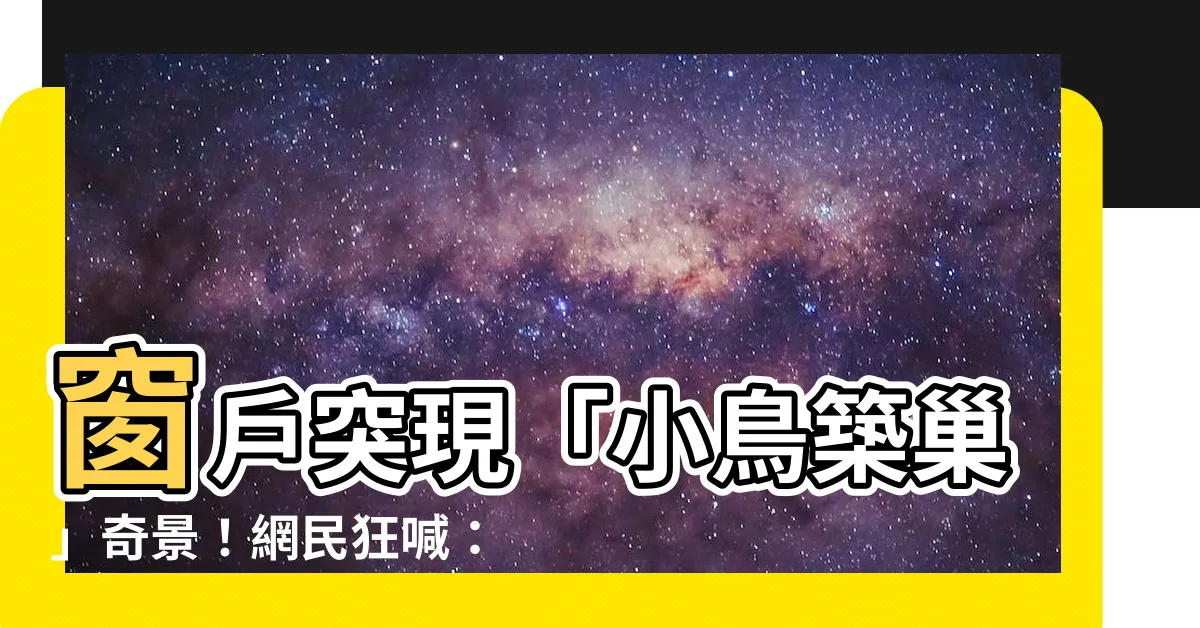 【小鳥在窗户築巢】窗户突現「小鳥築巢」奇景！網民狂喊：你發達了！