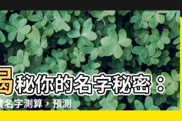【名字測算】揭秘你的名字秘密：免費名字測算，預測你的運勢與財富！