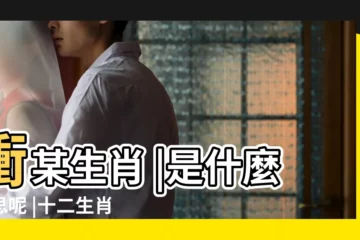 【2017日曆生肖對沖老鼠】衝某生肖 |是什麼意思呢 |十二生肖出生年曆表 |