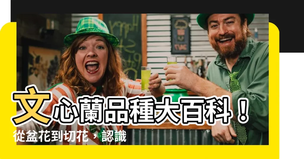 【文心蘭品種】文心蘭品種大百科！從盆花到切花，認識最美的蘭花