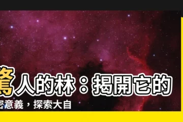 【林的意思】驚人的林：揭開它的秘密意義，探索大自然中的奧秘
