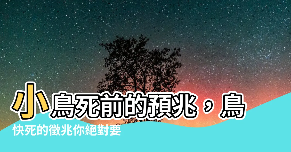 【鳥快死的徵兆】小鳥死前的預兆，鳥快死的徵兆你絕對要知道！