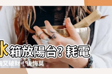 【冰箱放陽台耗電】冰箱放陽台? 耗電傷機又破財！後悔莫及