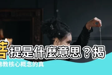 【菩提是什麼意思】菩提是什麼意思？揭開佛教核心概念的真諦