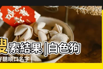 【狗狗名字大全公的白色】搜索結果 |白色狗狗好聽順口名字 |白色狗狗名字大全 |