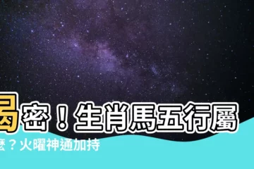 【生肖馬五行】揭密！生肖馬五行屬什麼？火曜神通加持，叱吒風雲！