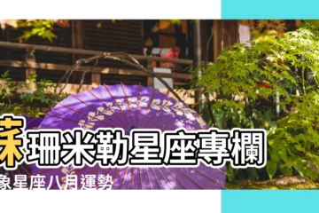 【2017年8月份雙子運勢如何】蘇珊米勒星座專欄 |風象星座八月運勢 |2017 |