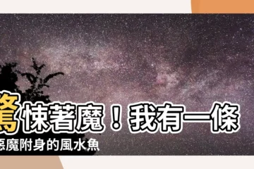 【我有一條風水魚】驚悚著魔！我有一條被惡魔附身的風水魚