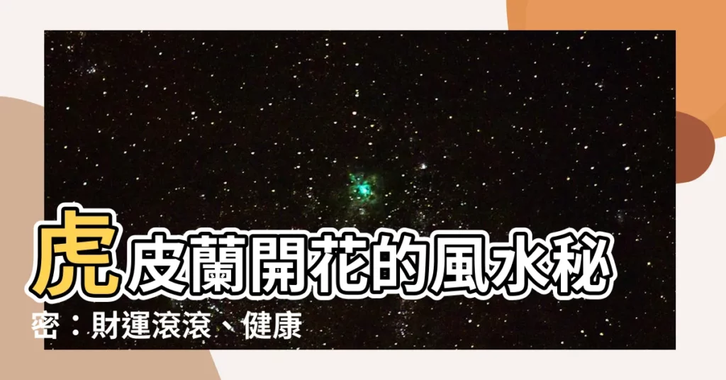 【虎皮蘭開花風水】虎皮蘭開花的風水秘密：財運滾滾、健康長壽
