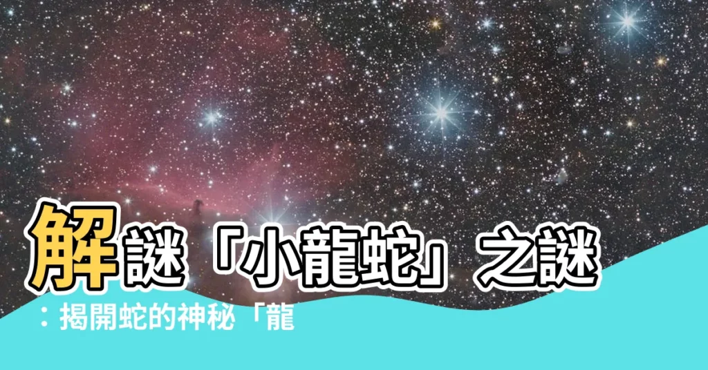 【小龍蛇】解謎「小龍蛇」之謎：揭開蛇的神秘「龍」身世
